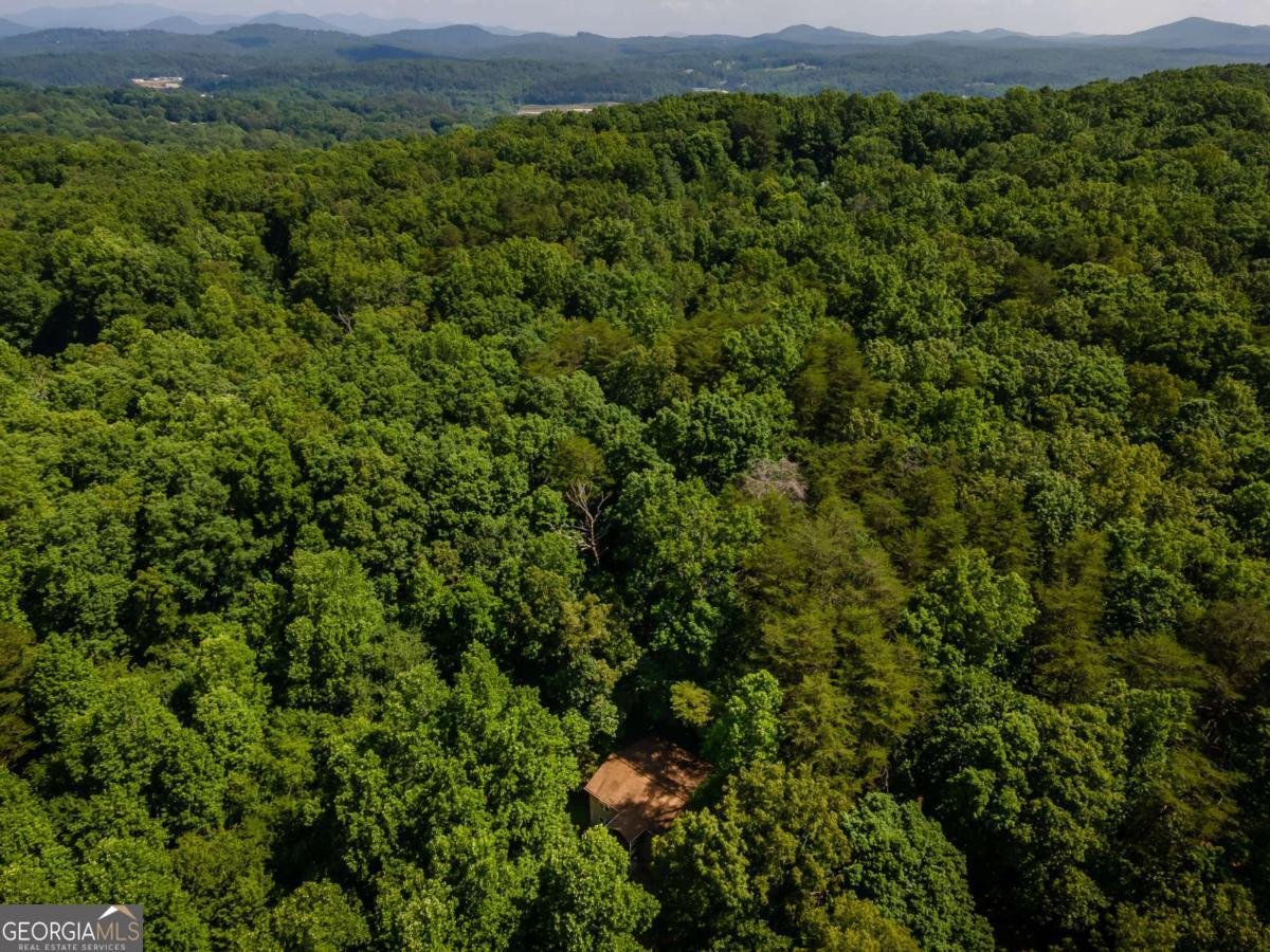 191 Barker Lane Morganton - 31