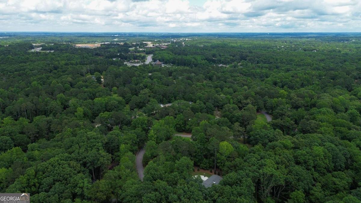 1041 Hollow Creek Way Watkinsville - 44