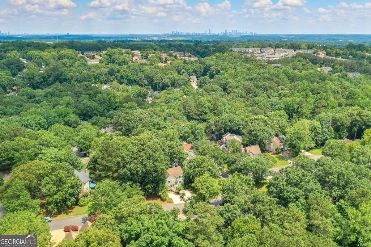 5037 Laurel Springs Way Smyrna - 35