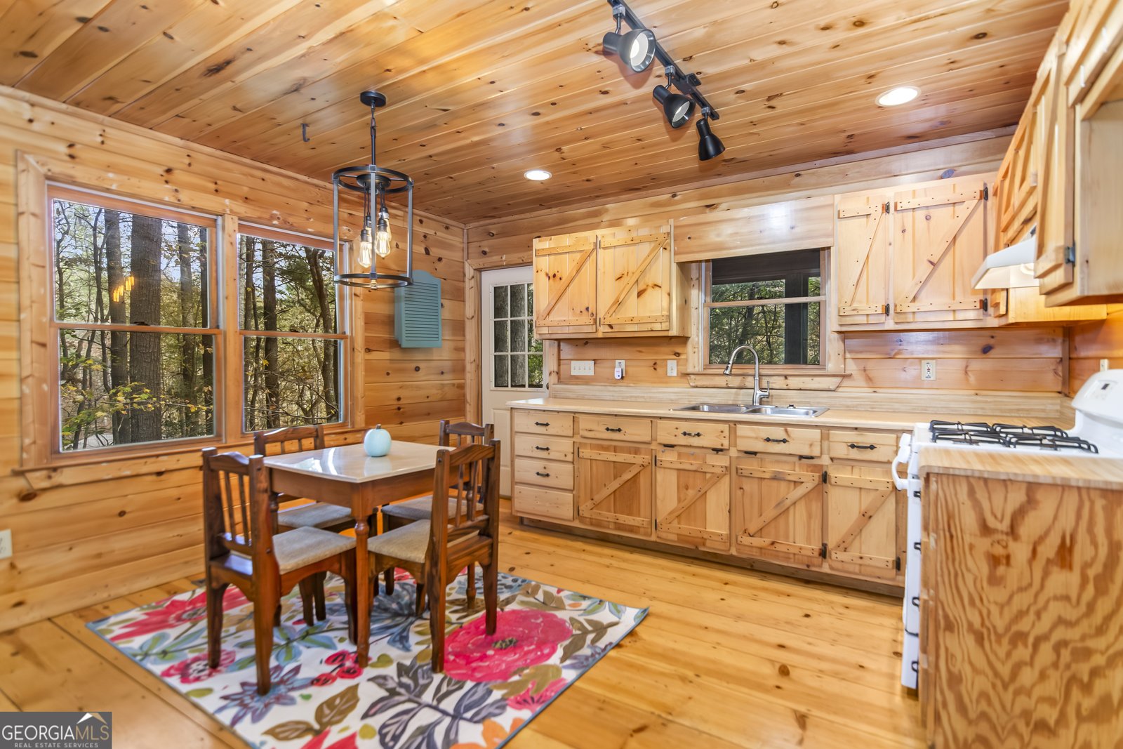 125 Waters Road Ellijay - 10