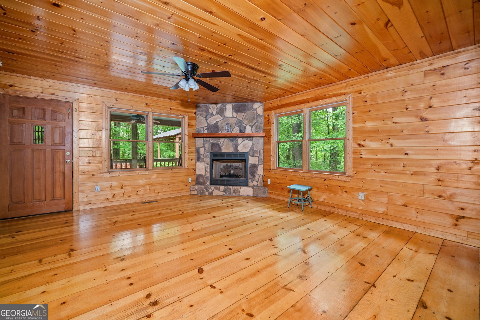 125 Waters Road Ellijay - 101