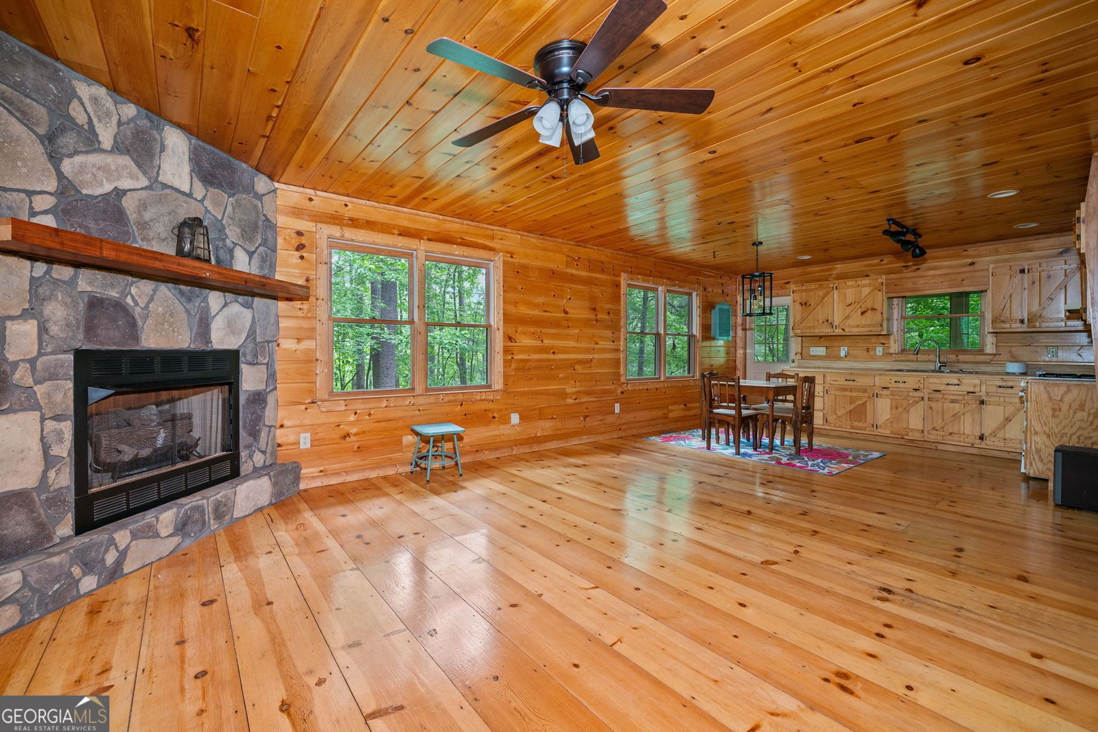 125 Waters Road Ellijay - 103