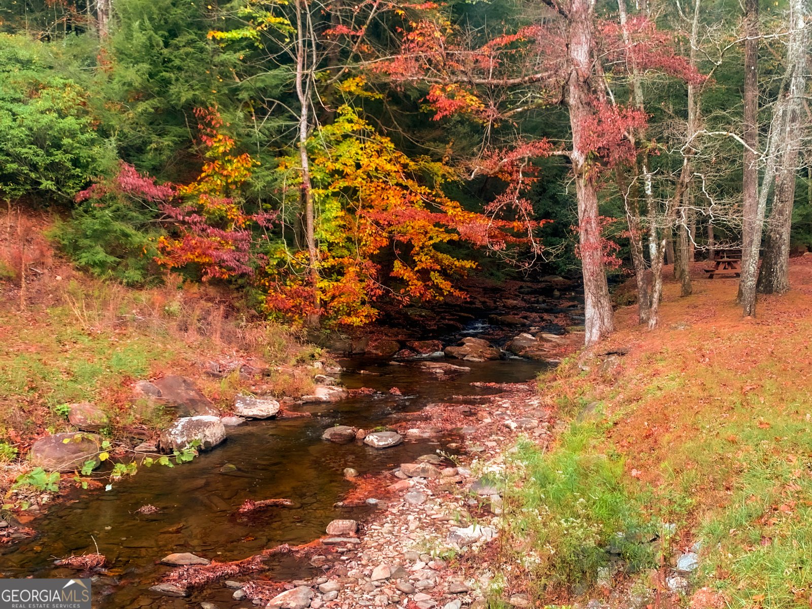 125 Waters Road Ellijay - 3