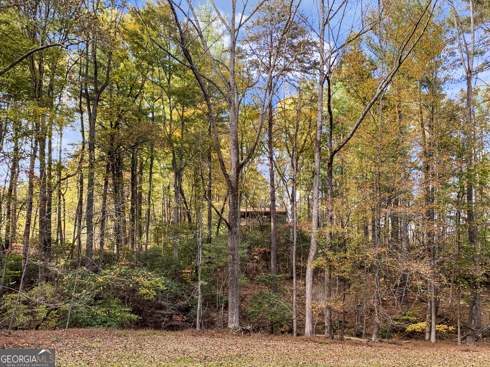 125 Waters Road Ellijay - 48