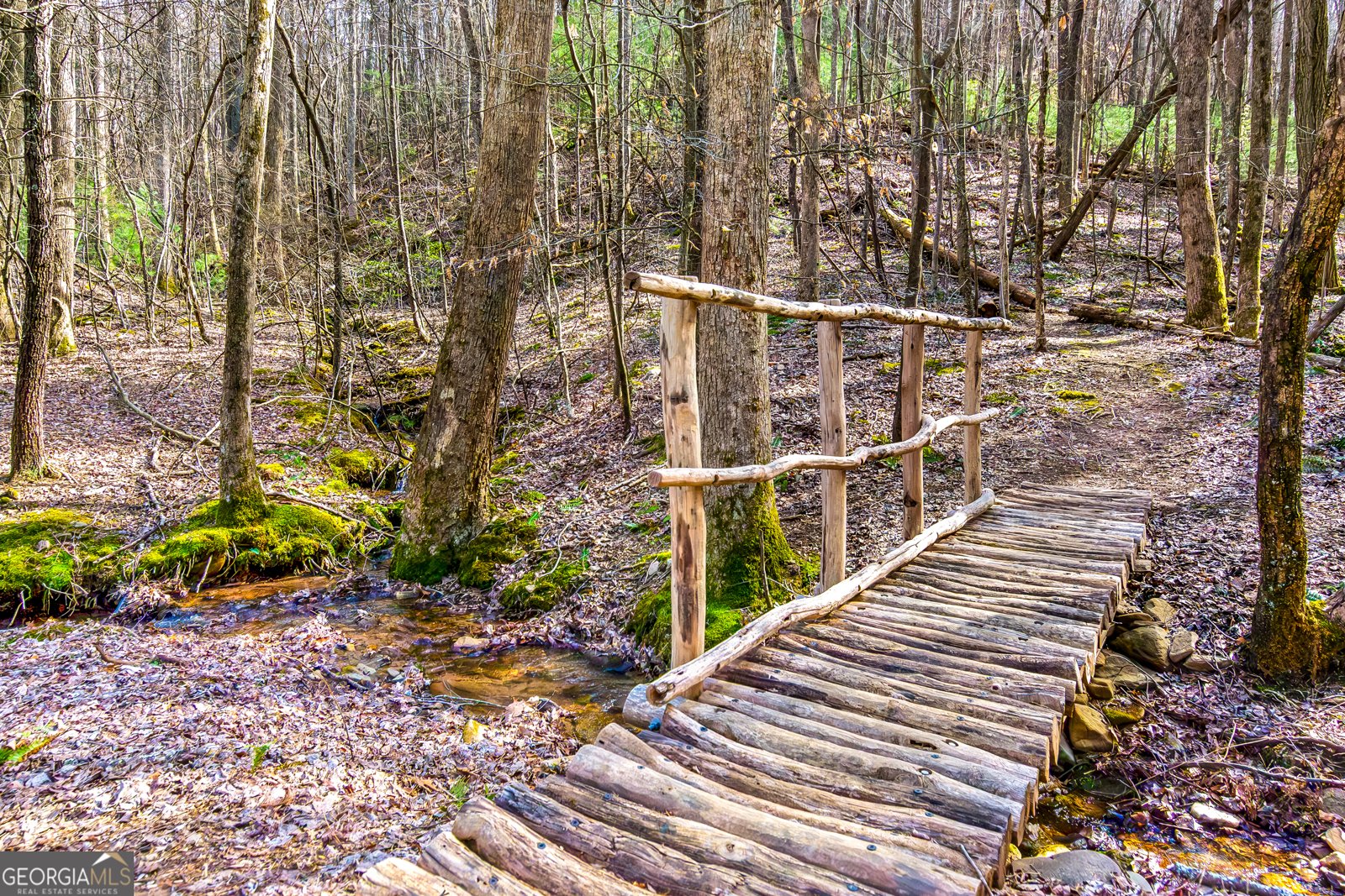 125 Waters Road Ellijay - 54