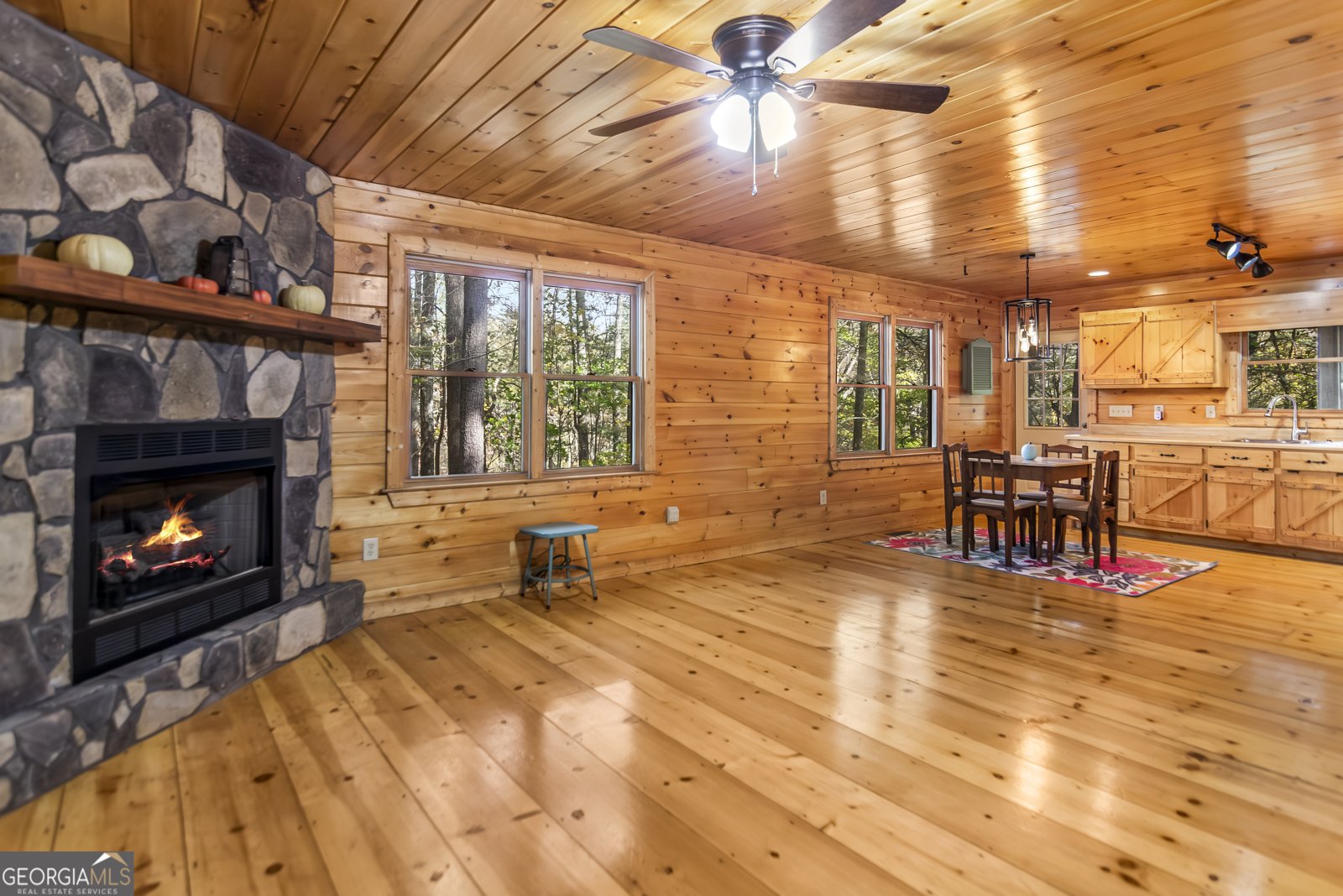 125 Waters Road Ellijay - 6