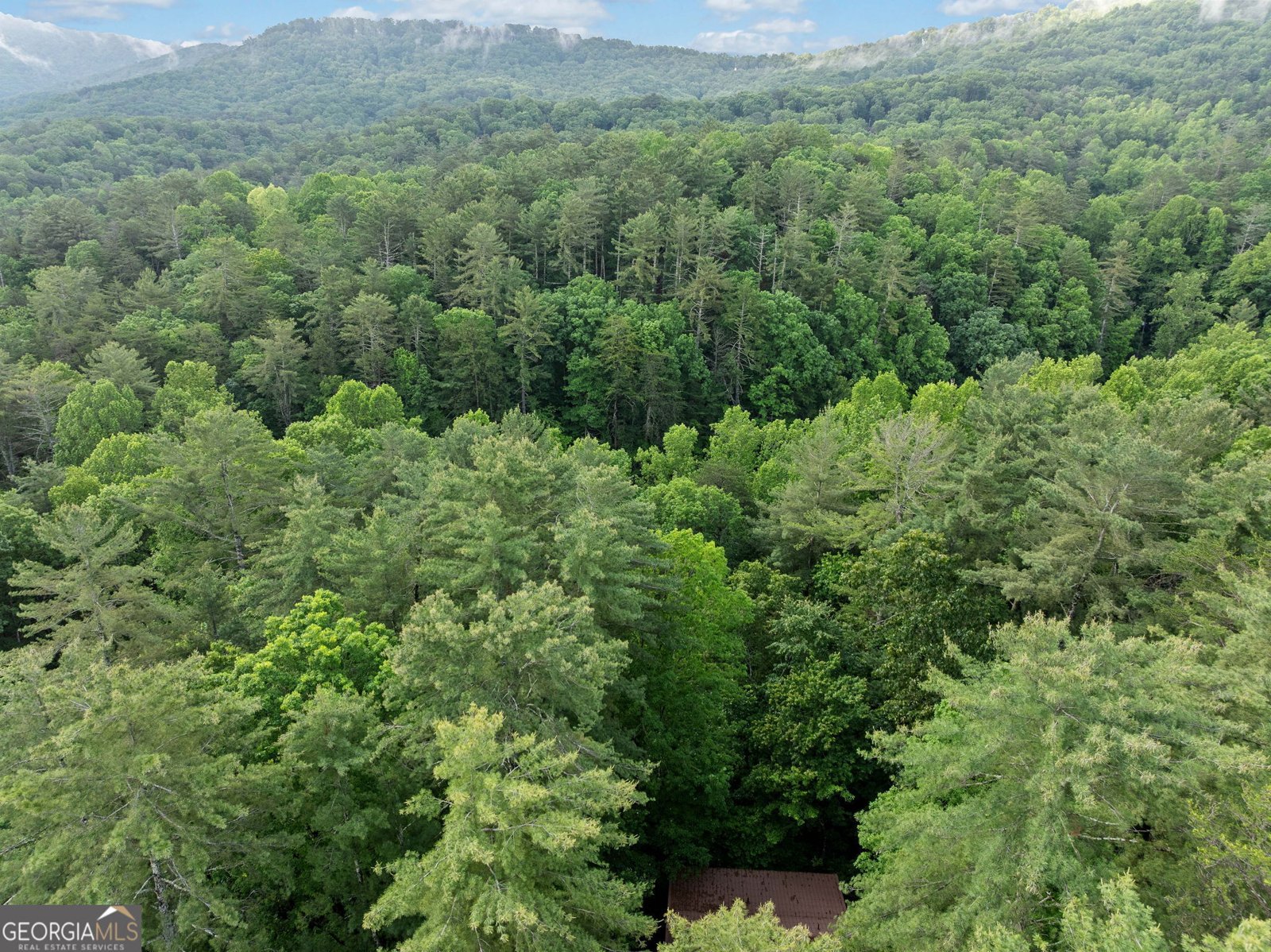 125 Waters Road Ellijay - 73