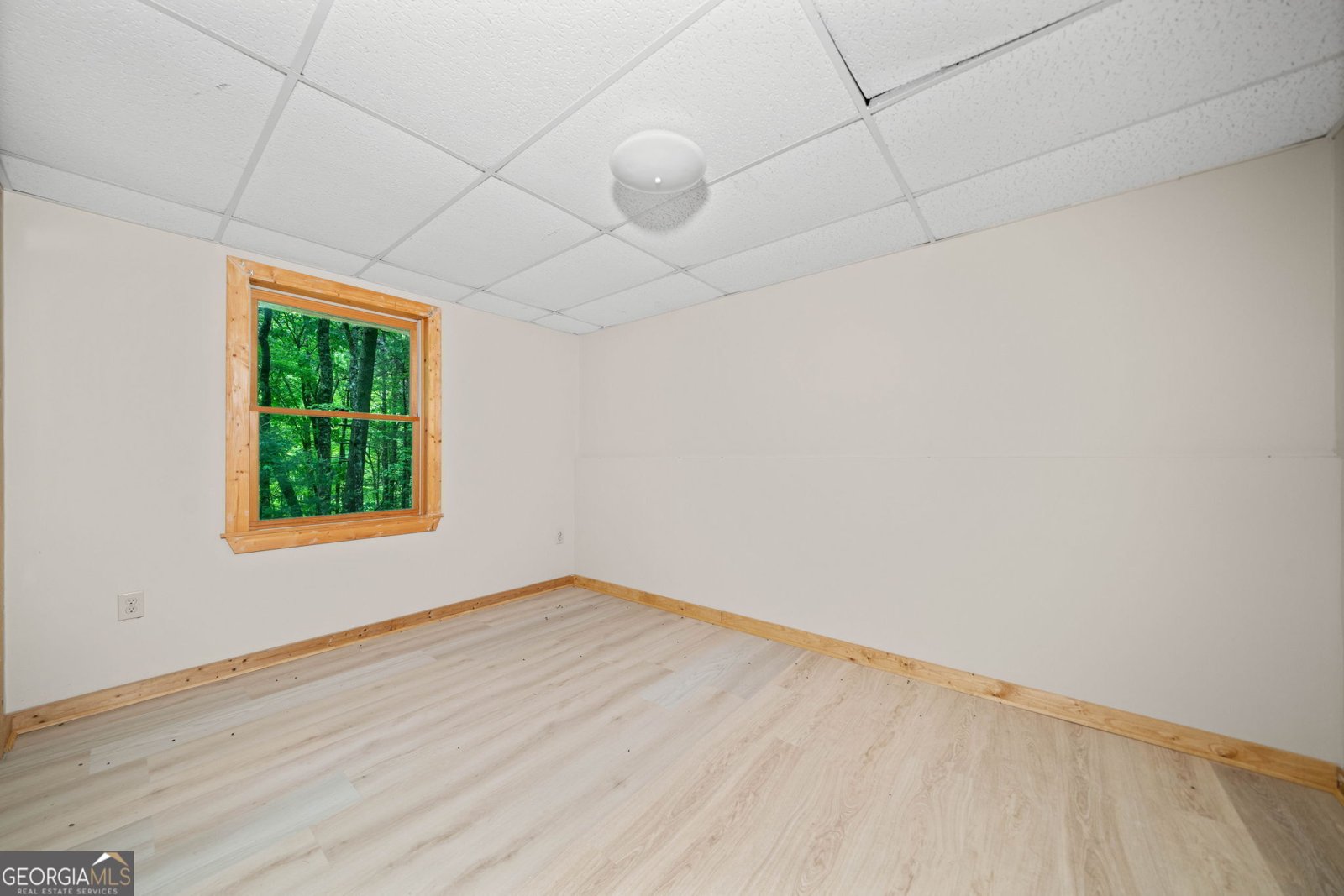 125 Waters Road Ellijay - 81