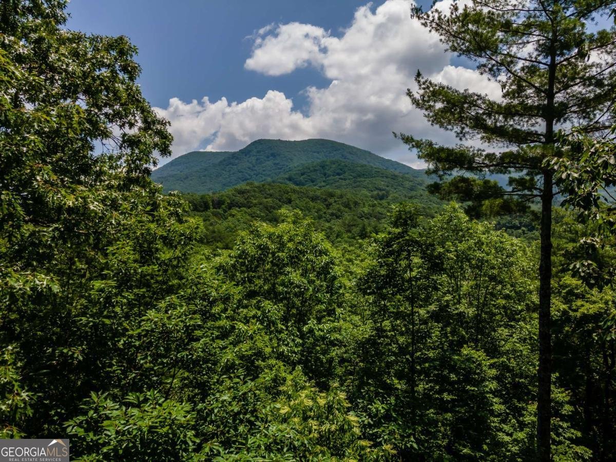 371 Little Rock Creek Court Cherry Log - 16