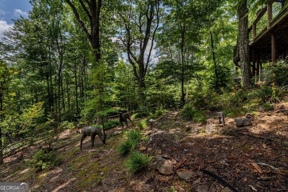 371 Little Rock Creek Court Cherry Log - 39