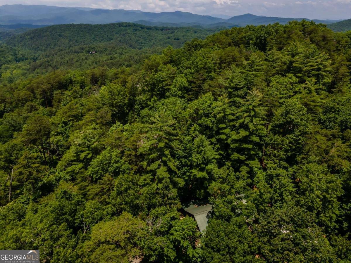 371 Little Rock Creek Court Cherry Log - 41