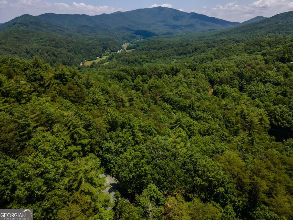 371 Little Rock Creek Court Cherry Log - 42