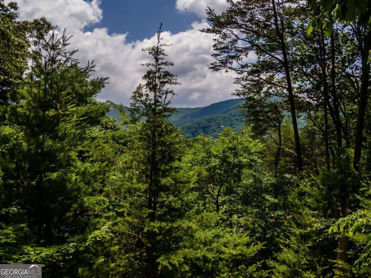 371 Little Rock Creek Court Cherry Log - 43