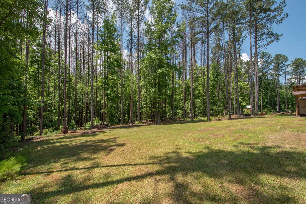 96 Carlow Court Newnan - 13