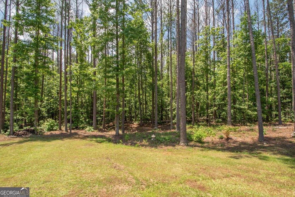 96 Carlow Court Newnan - 15