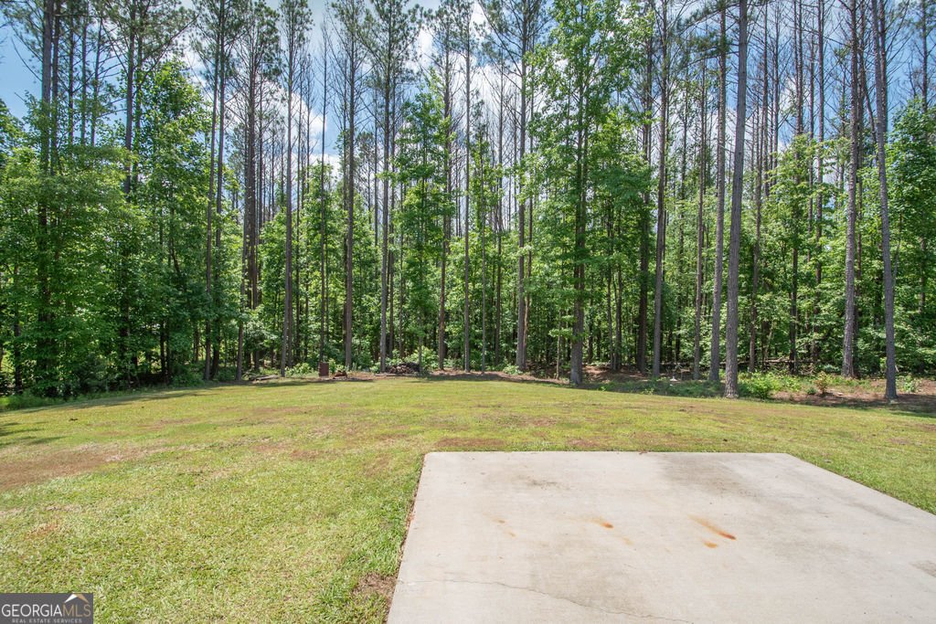 96 Carlow Court Newnan - 9