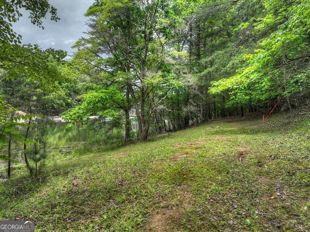102 Captains Cove Blairsville - 10