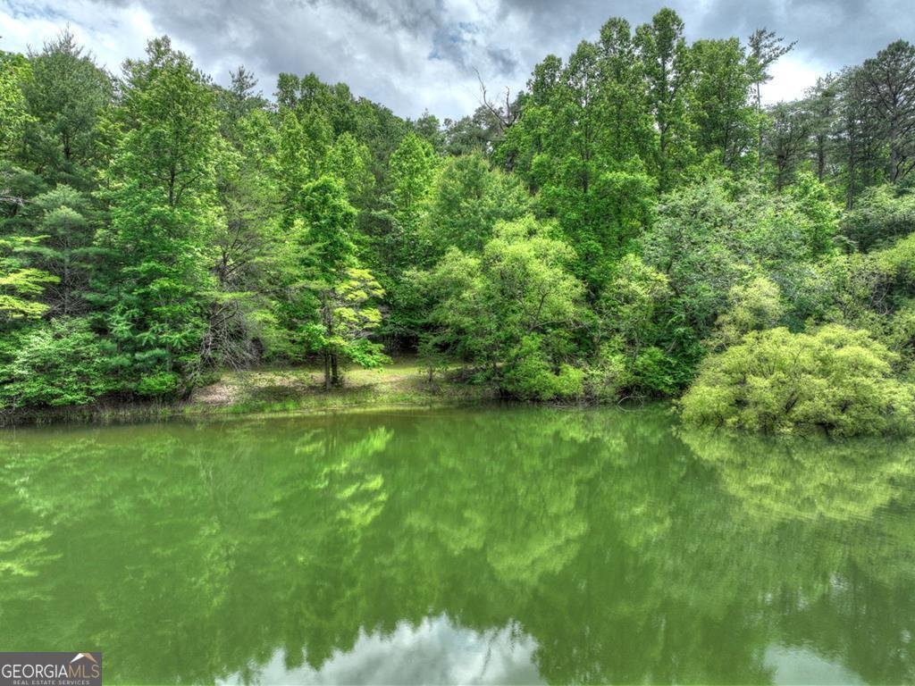 102 Captains Cove Blairsville - 12