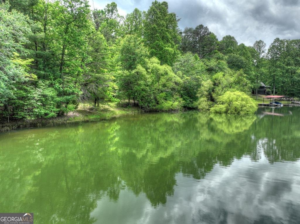 102 Captains Cove Blairsville - 24