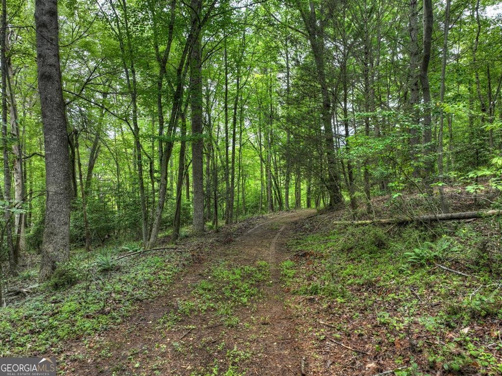 102 Captains Cove Blairsville - 27