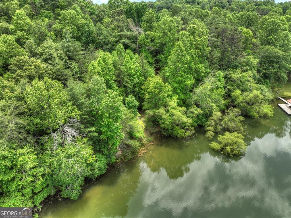 102 Captains Cove Blairsville - 28