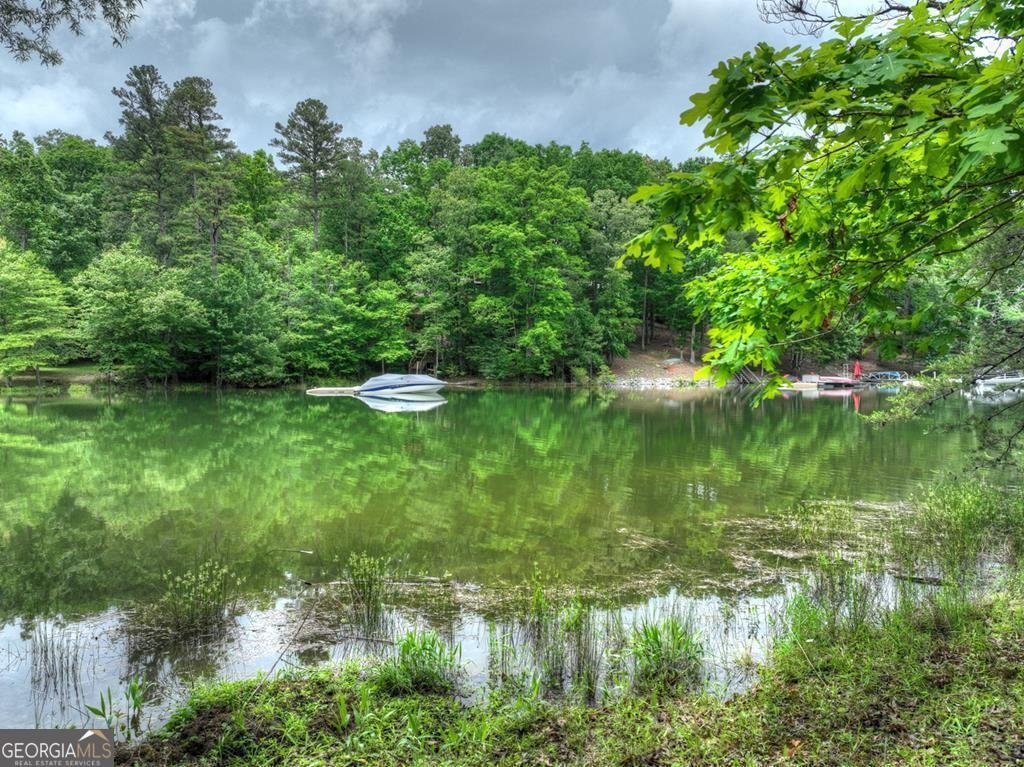 102 Captains Cove Blairsville - 3