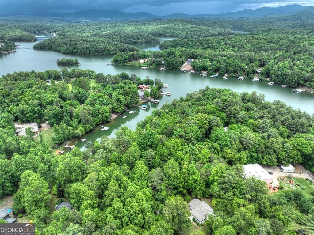 102 Captains Cove Blairsville - 32