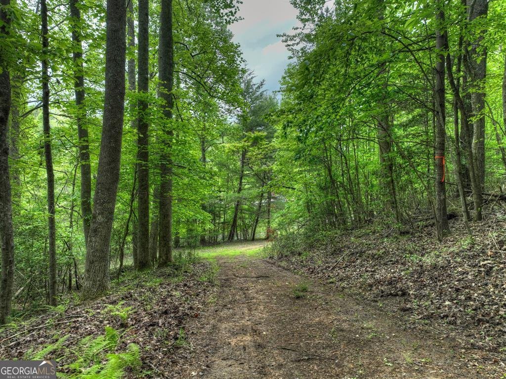 102 Captains Cove Blairsville - 38