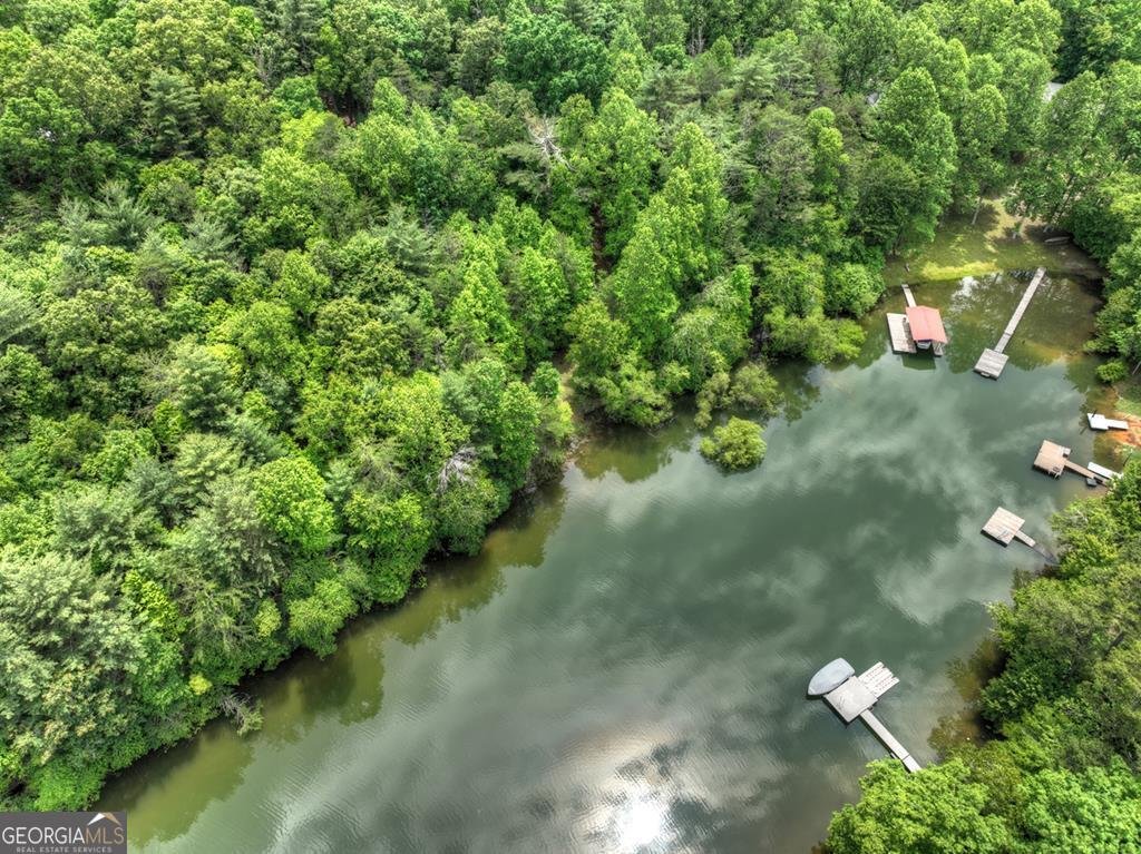 102 Captains Cove Blairsville - 44