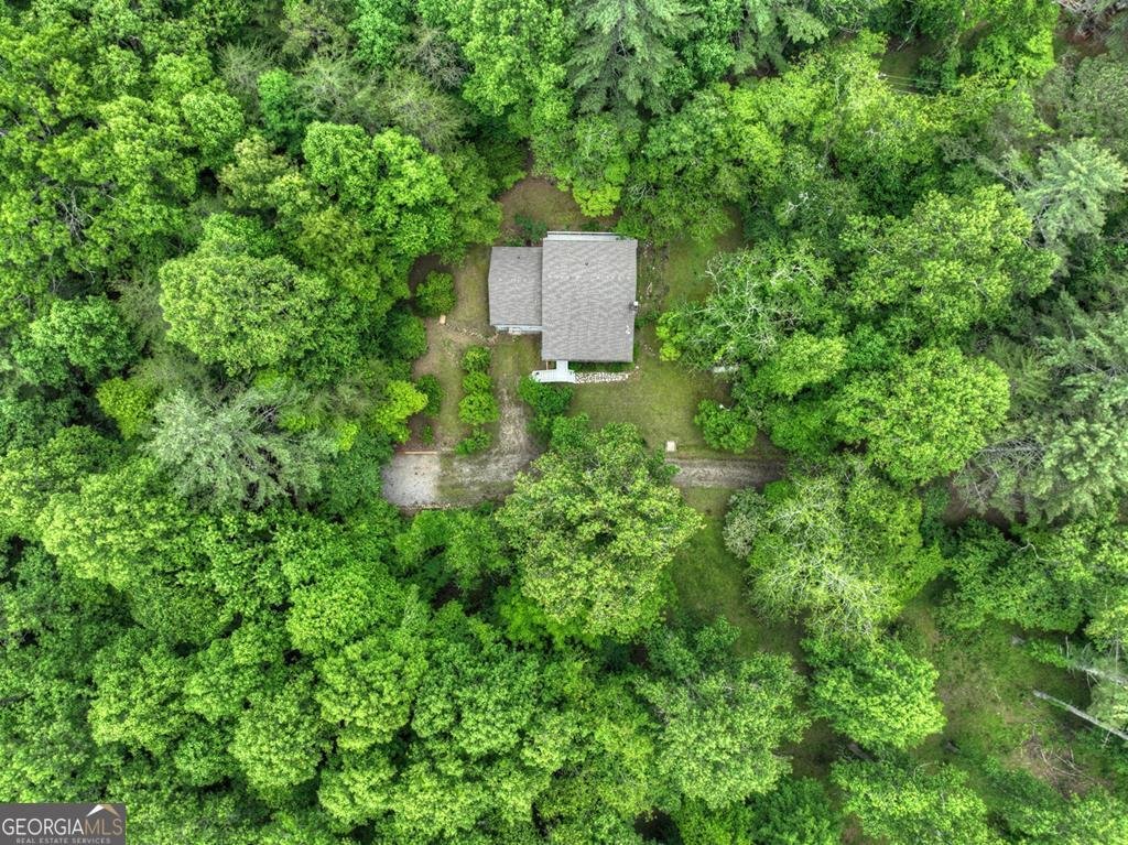102 Captains Cove Blairsville - 47