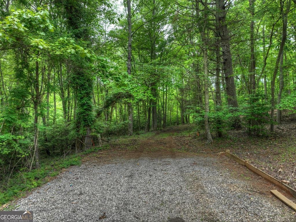 102 Captains Cove Blairsville - 59