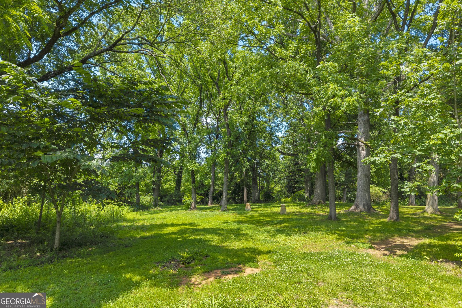 451 Toms Creek Rd Highway 145 Road Martin - 96