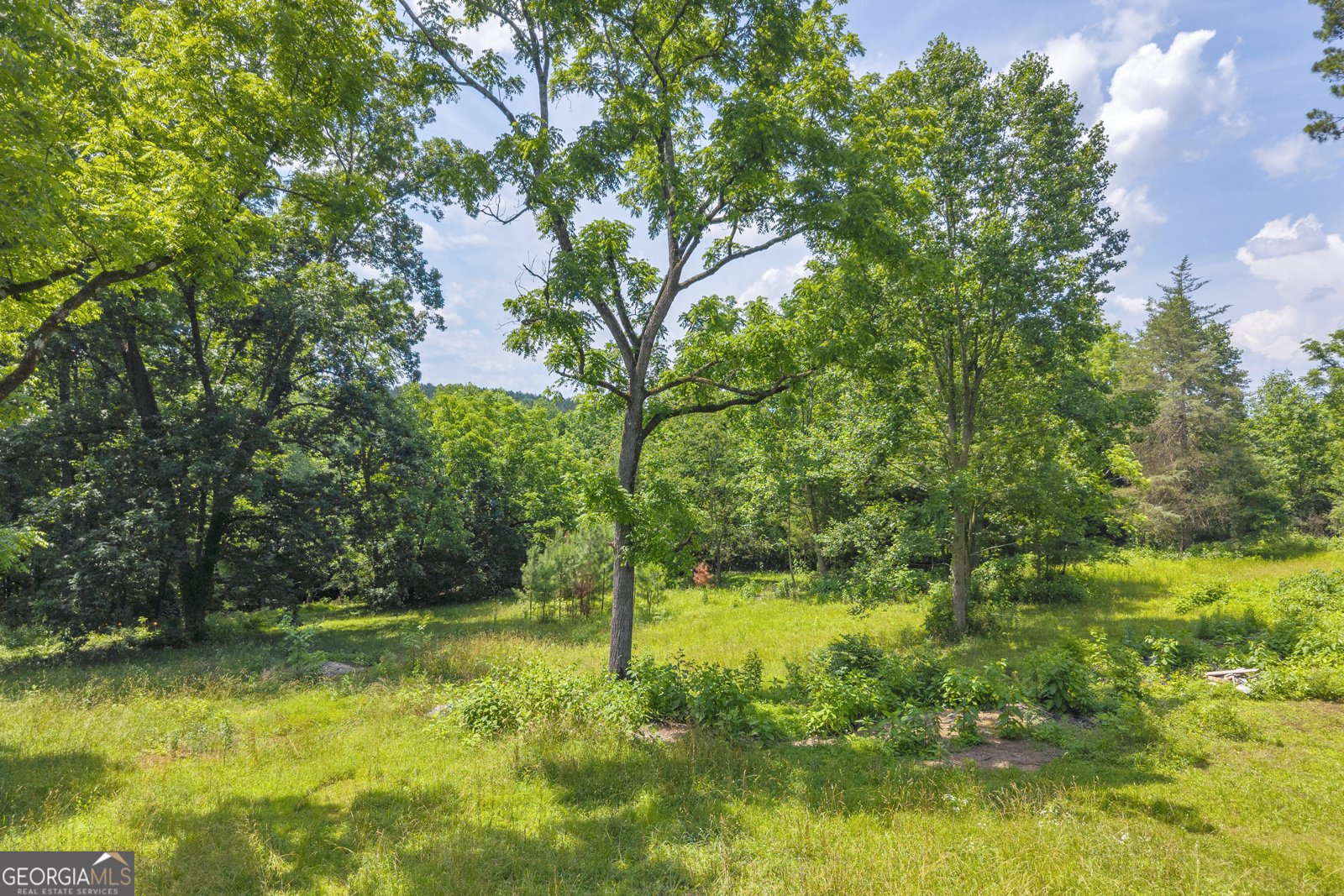 451 Toms Creek Rd Highway 145 Road Martin - 97