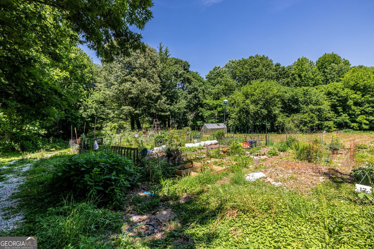 1001 Dancing Fox Road Decatur - 40