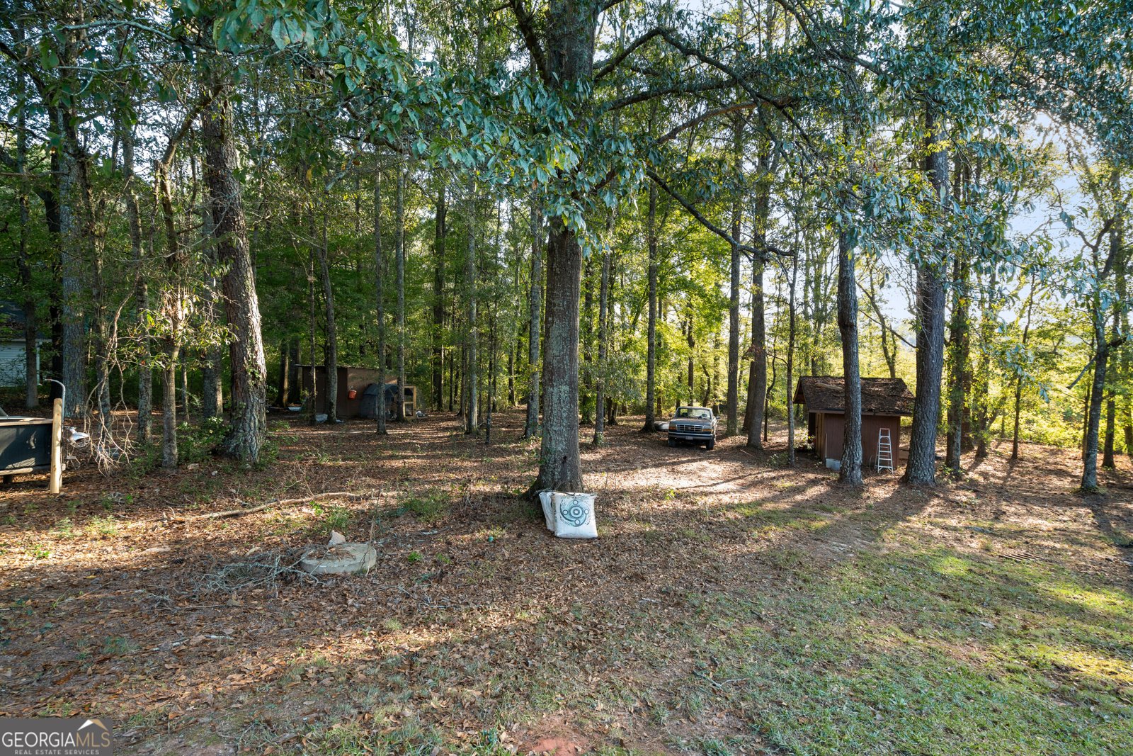 709 Simonton Mill Road Carrollton - 25