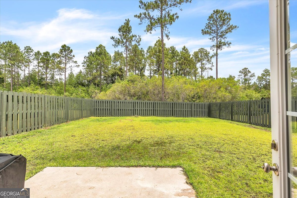 592 Brightleaf Circle Hinesville - 28