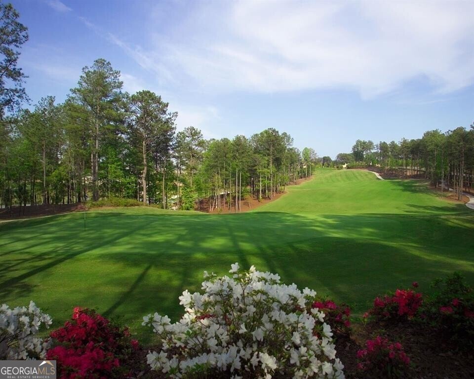 4560 OGLETHORPE Loop Acworth - 99