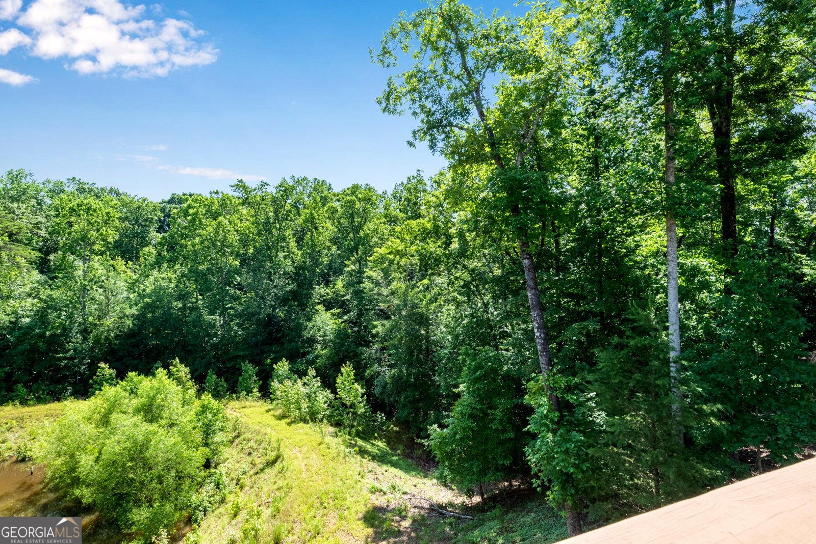 3616 Castoff Court Gainesville - 17