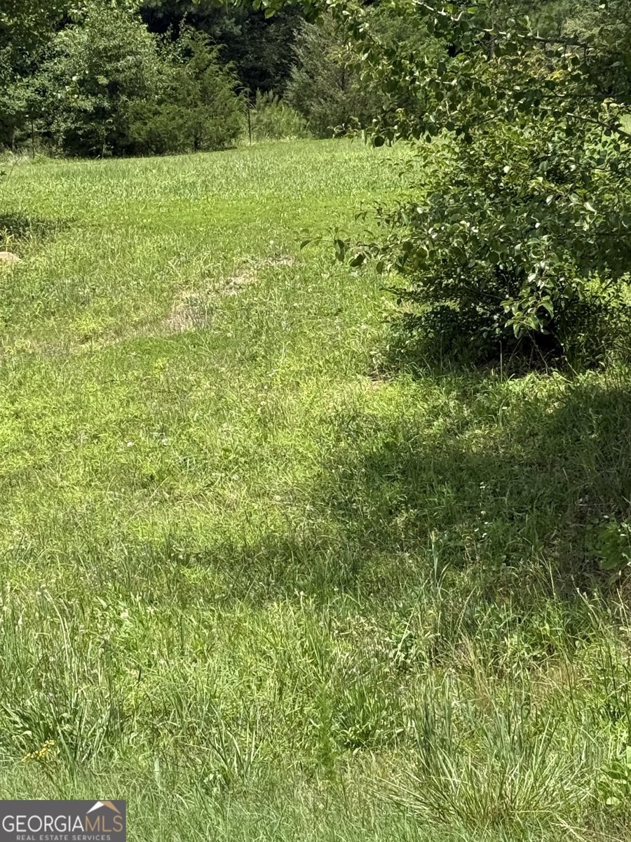 1810 Highway 138 Stockbridge - 23