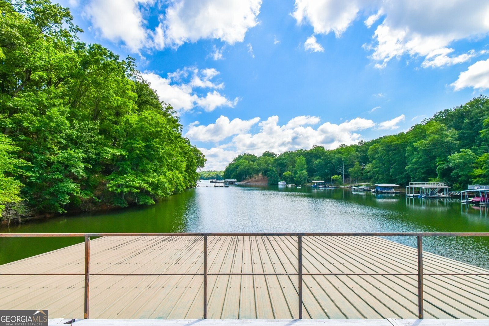 7335 Sawgrass Drive Dawsonville - 49