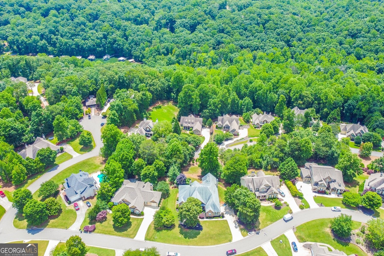 7335 Sawgrass Drive Dawsonville - 6