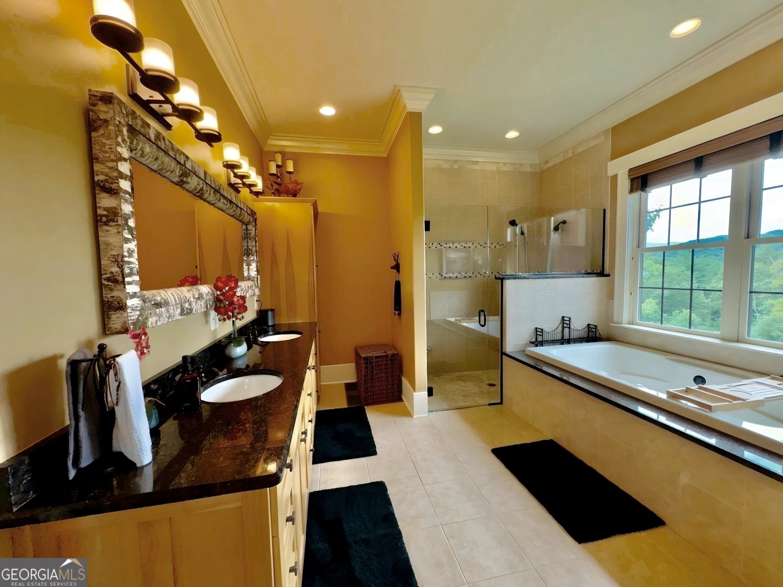 98 Saddleback Trail Blue Ridge - 14