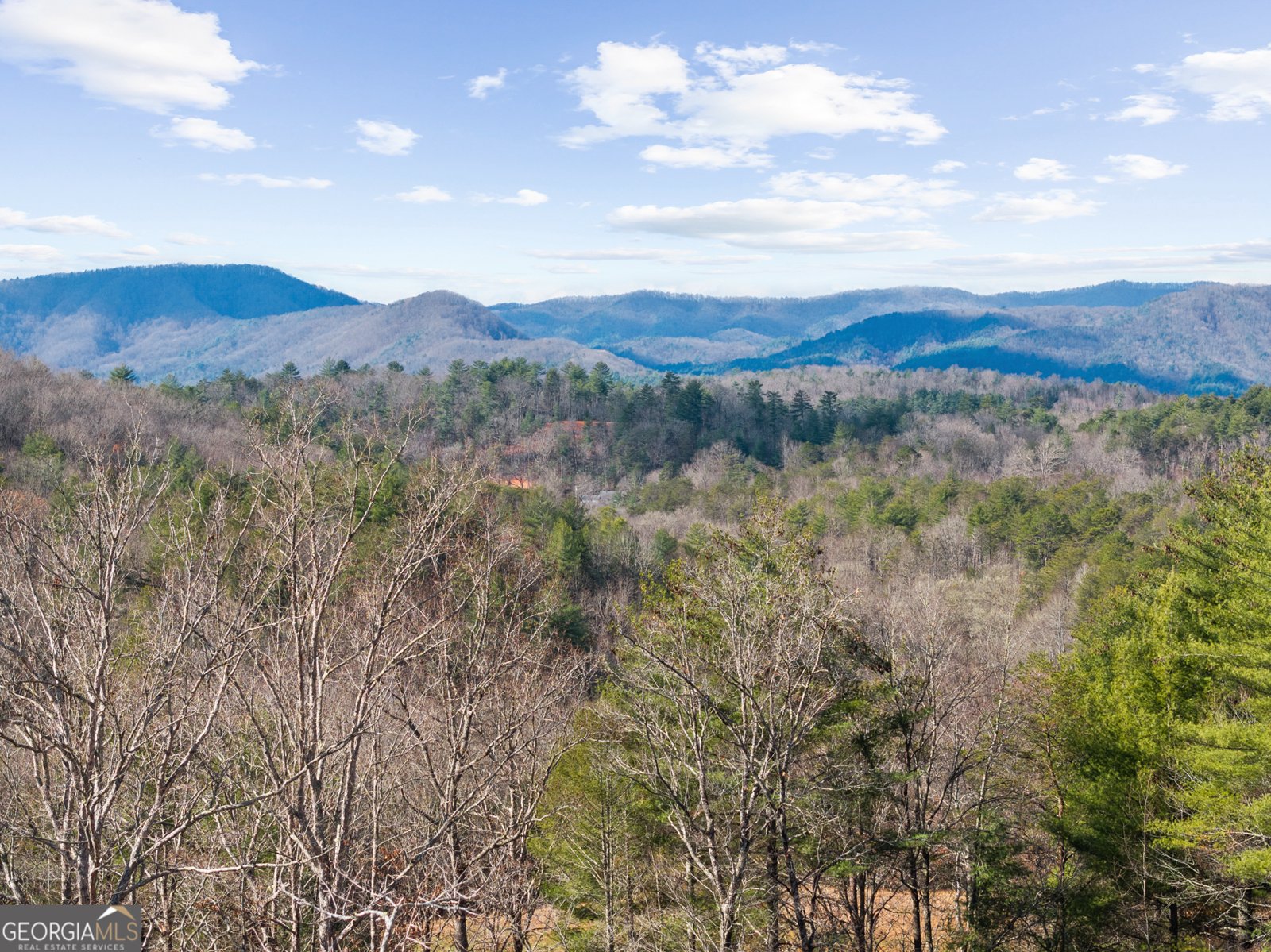 98 Saddleback Trail Blue Ridge - 62