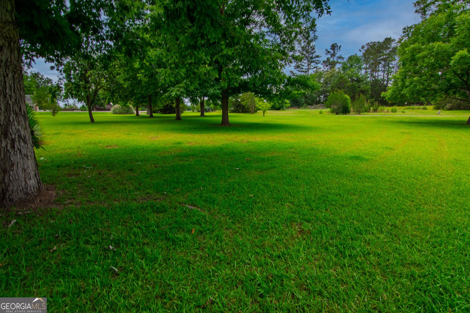1034 Wommack Brantley Road Tennille - 102