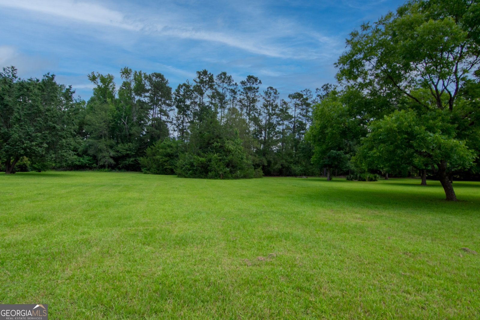 1034 Wommack Brantley Road Tennille - 104