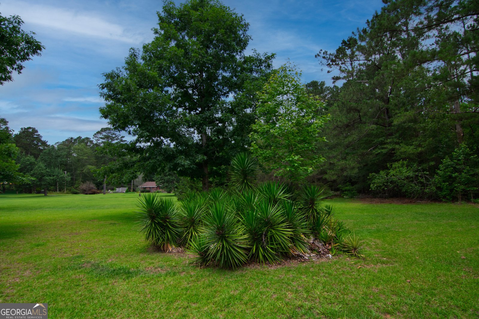 1034 Wommack Brantley Road Tennille - 105