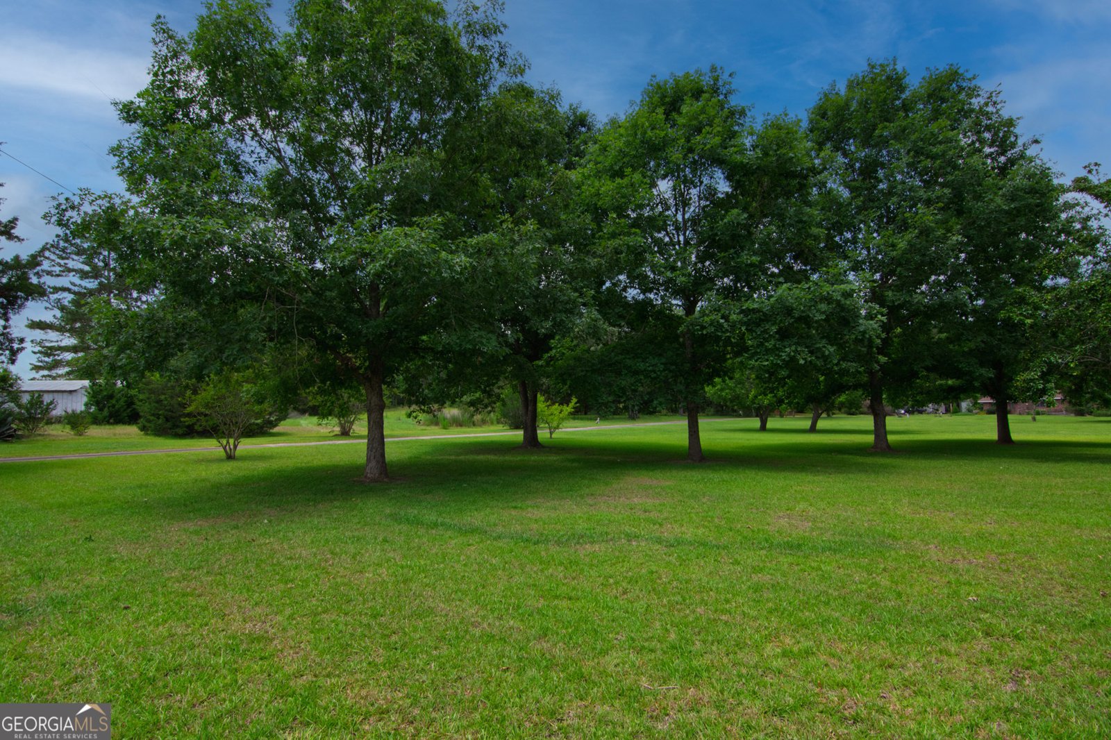 1034 Wommack Brantley Road Tennille - 108