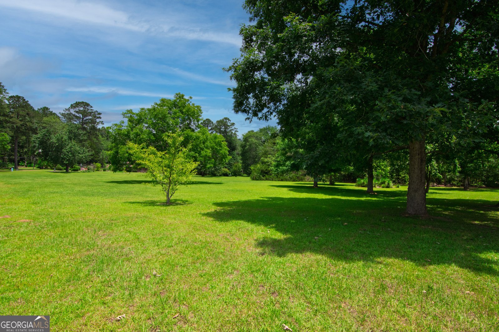 1034 Wommack Brantley Road Tennille - 111