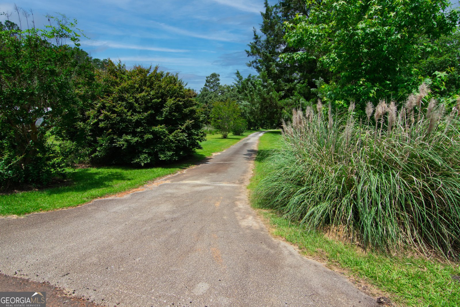 1034 Wommack Brantley Road Tennille - 113