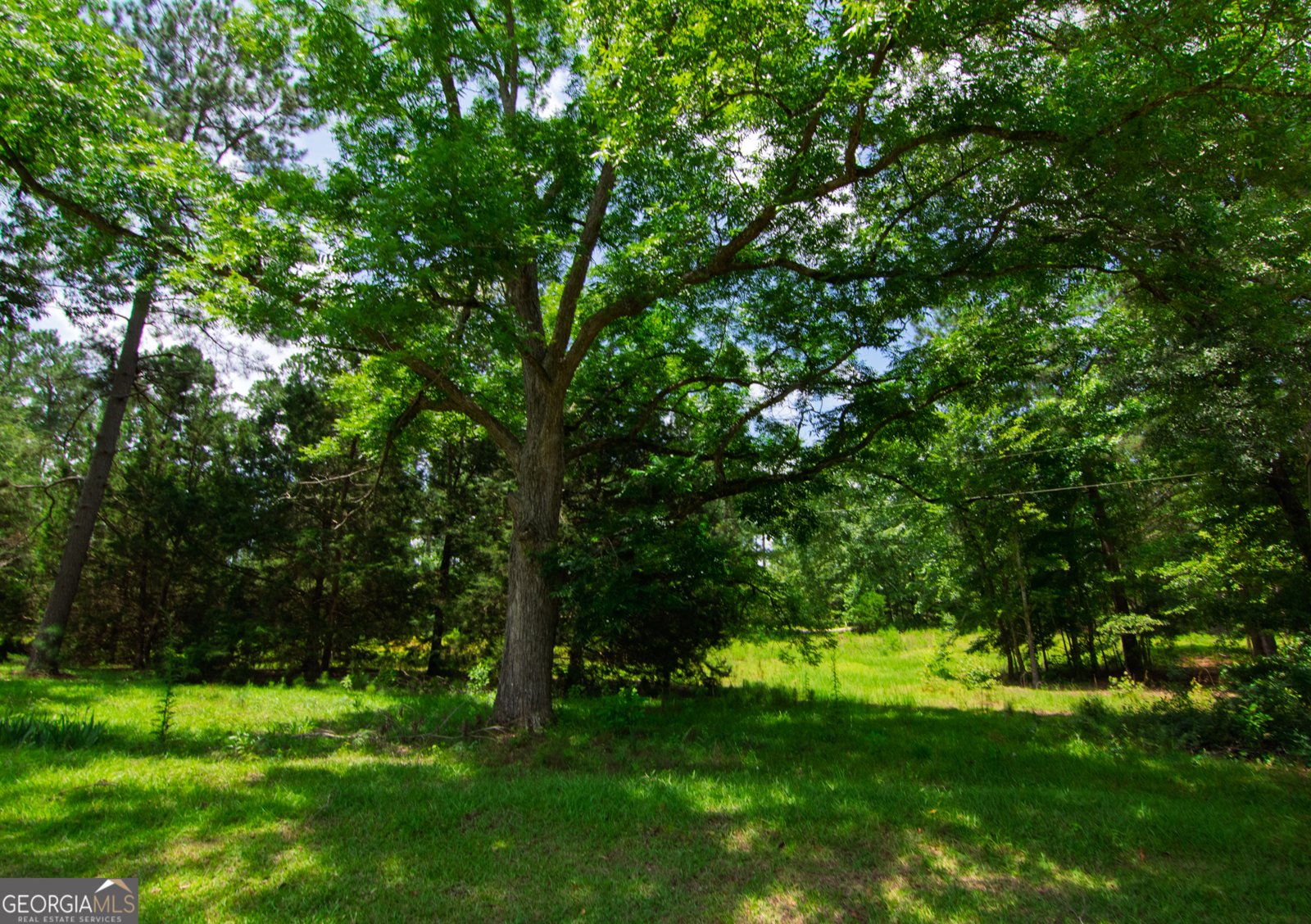 1034 Wommack Brantley Road Tennille - 114